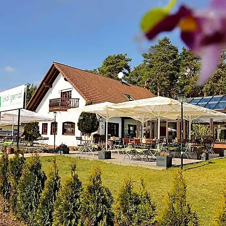 Guest house Lokal Genial & Restaurant Beelitz